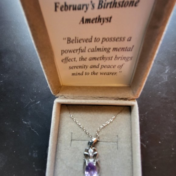 February's Birthstone Amethyst Necklace Sterling Silver Stamped (925) - Picture 4 of 15